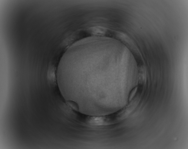 X0000092050573200710031044