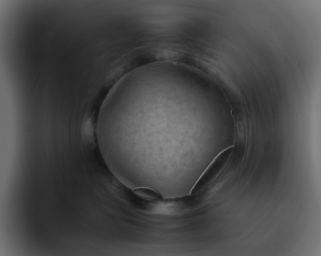 X0000092050575200710031045