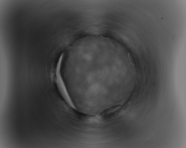 X0000092050576200710031045