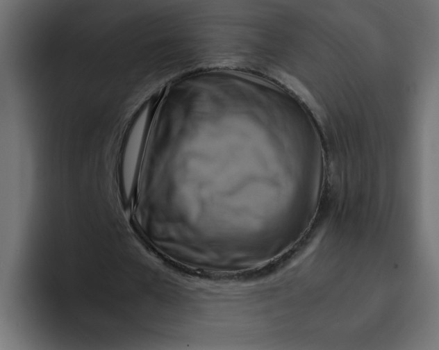 X0000092050577200710031044