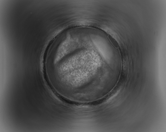 X0000092050581200710031044