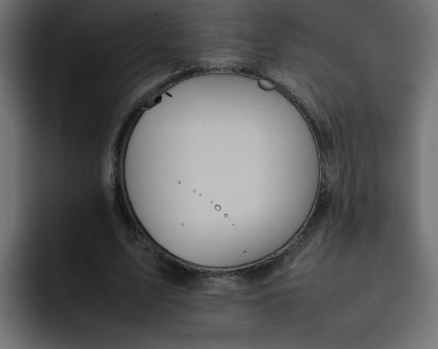 X0000092050583200710031044