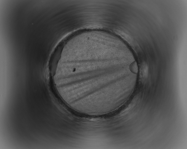 X0000092050584200710031044