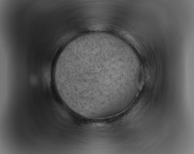 X0000092050586200710031044