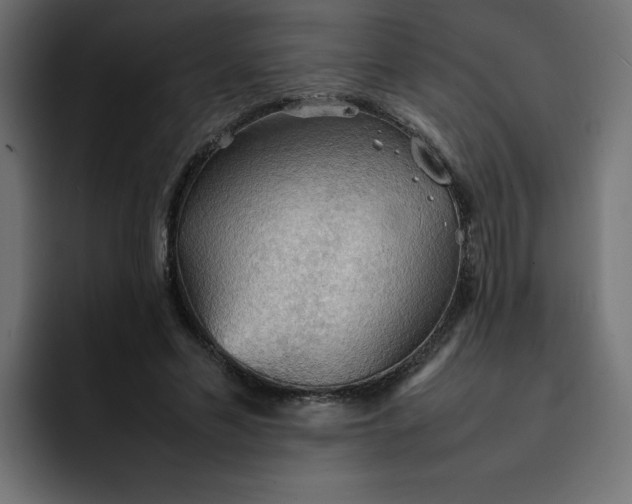 X0000092050589200710031044