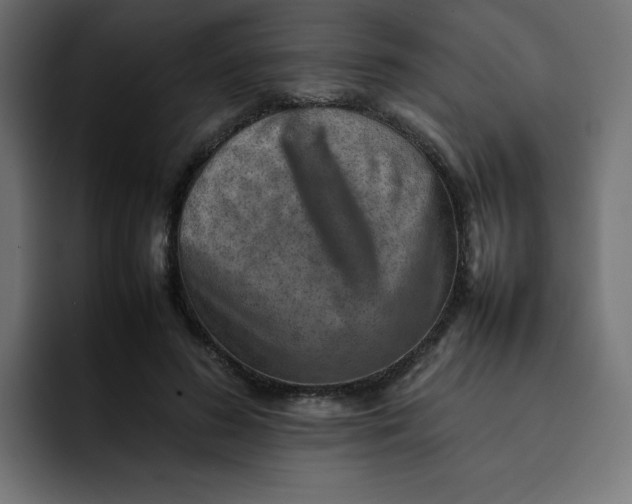 X0000092050596200710031044