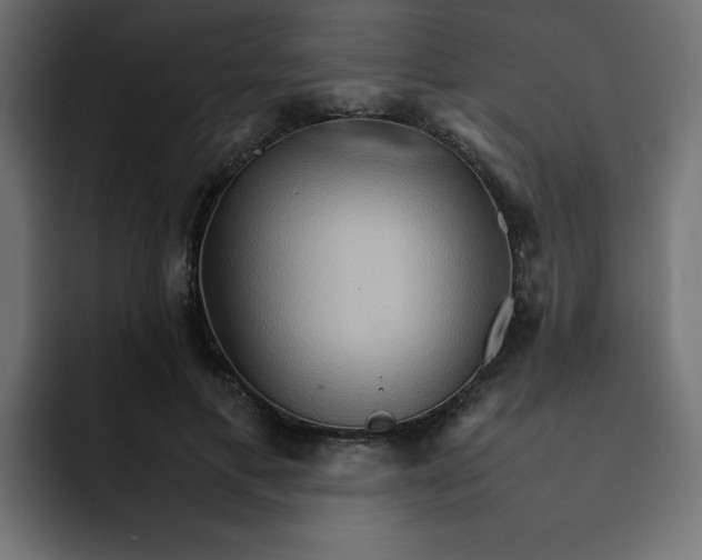 X0000092050597200710031044