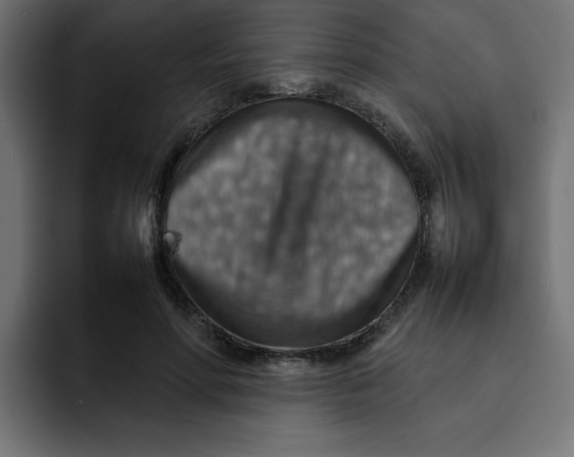 X0000092050598200710031044