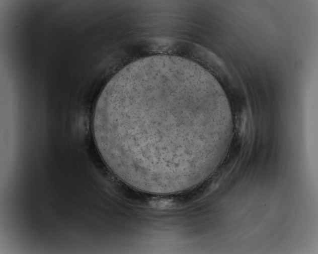 X0000092050602200710031044