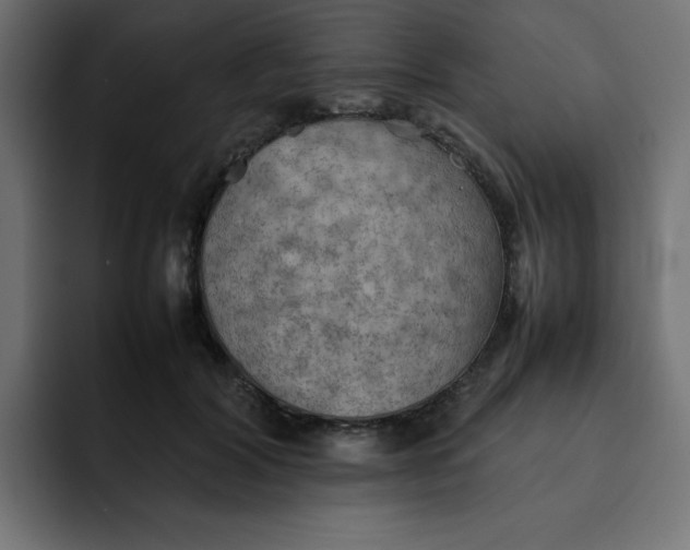 X0000092050604200710031044