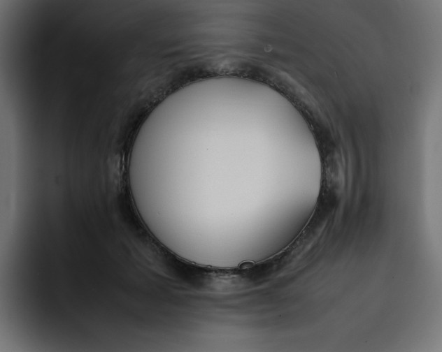 X0000092050605200710031044