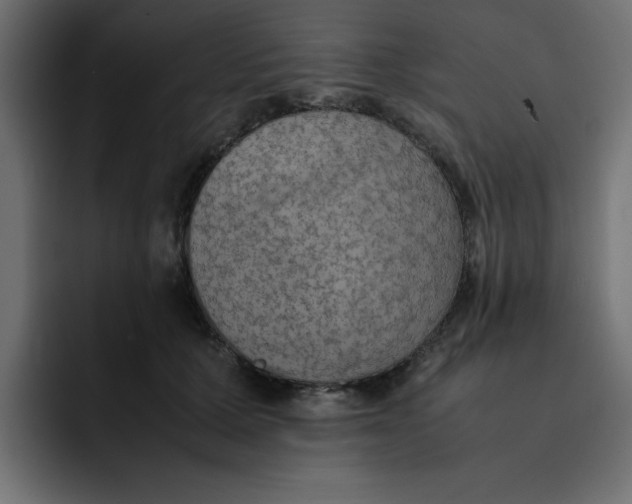 X0000092050607200710031044