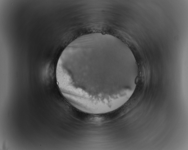 X0000092050610200710031044