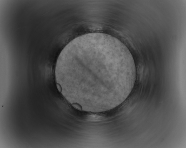 X0000092050614200710031044