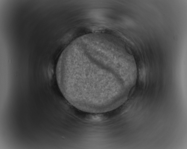 X0000092050618200710031043