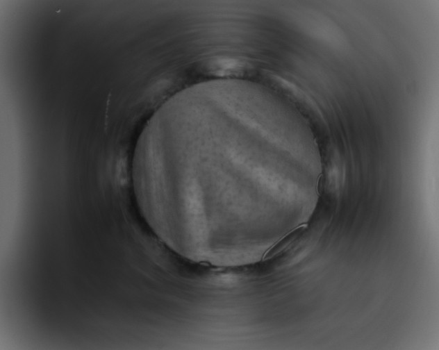 X0000092050620200710031043