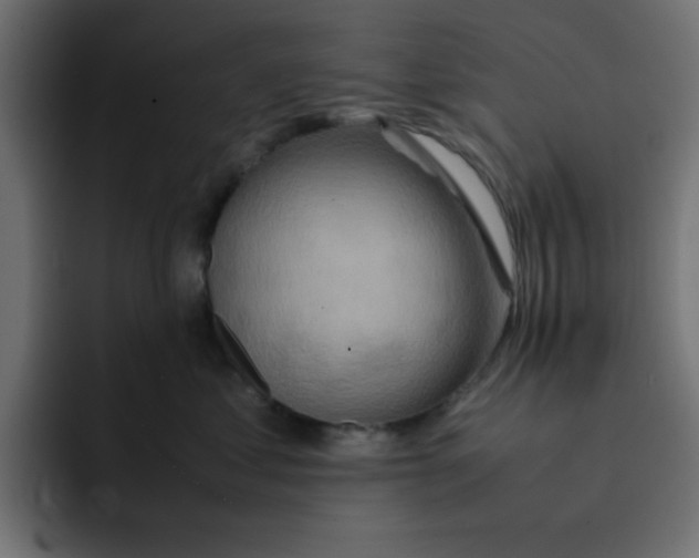 X0000092050621200710031043