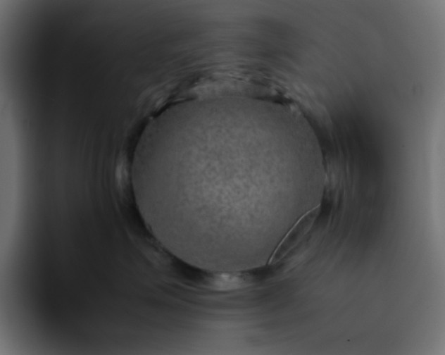 X0000092050623200710031043