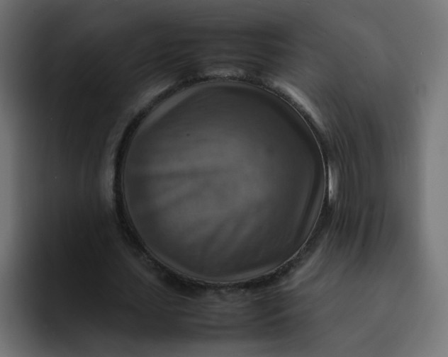 X0000092050627200710031043