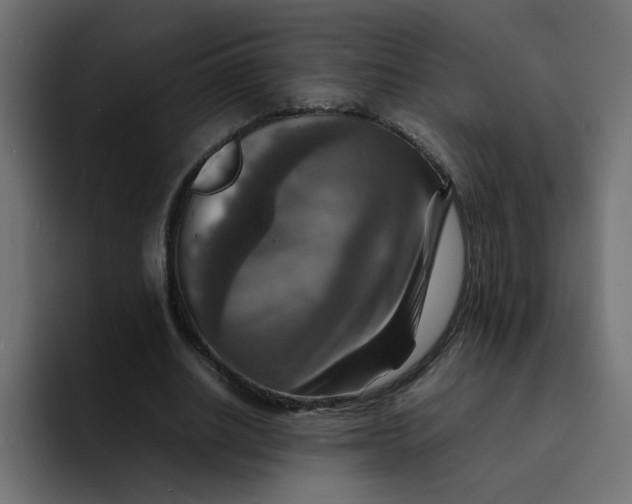 X0000092050630200710031043