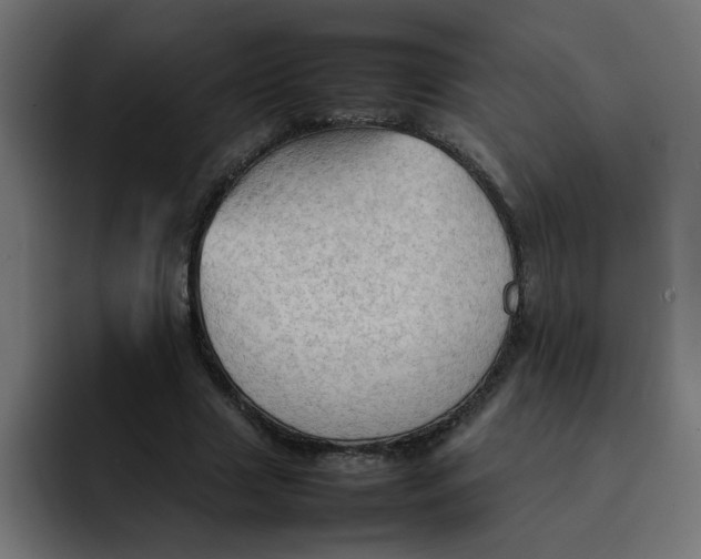 X0000092050633200710031043