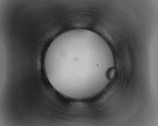 X0000092050635200710031043