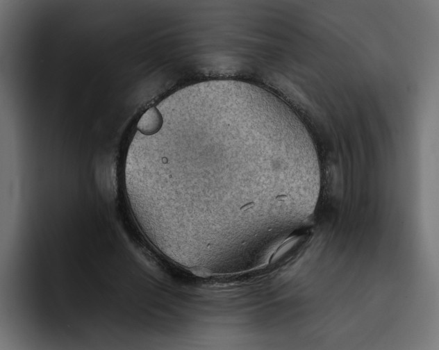 X0000092050638200710031043