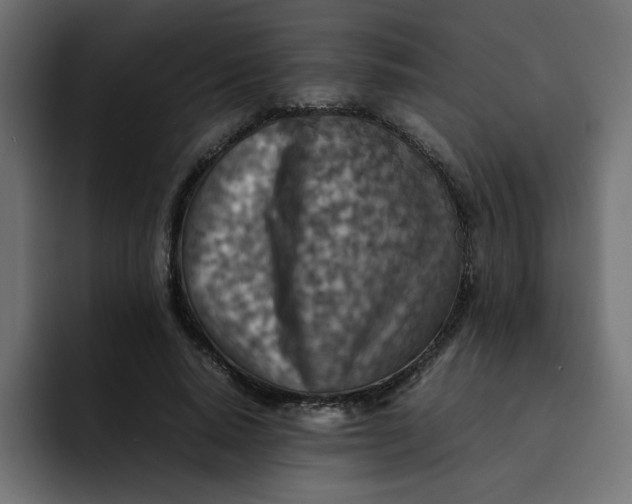 X0000092050640200710031043