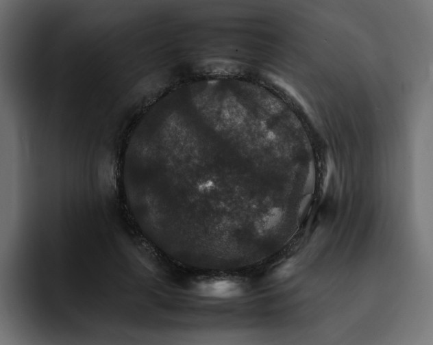 X0000092050643200710031043