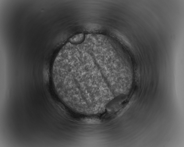 X0000092050644200710031043