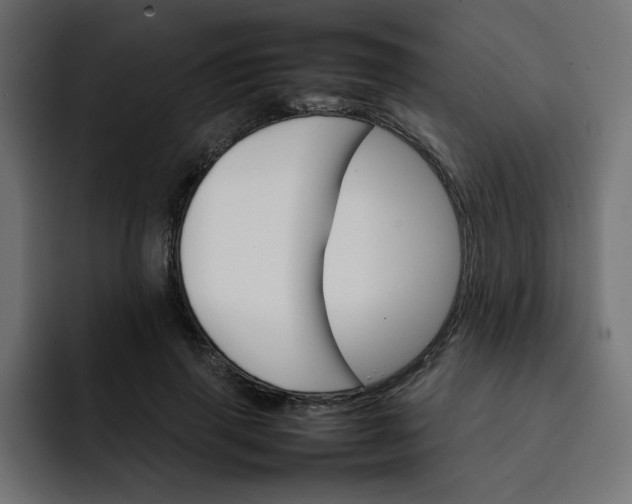 X0000092050645200710031043