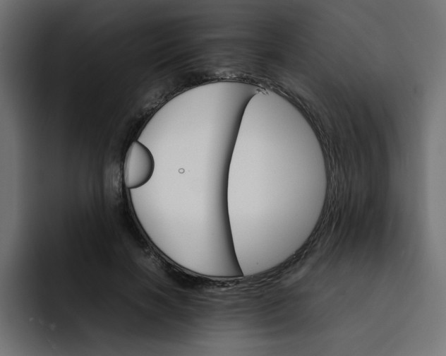 X0000092050646200710031043