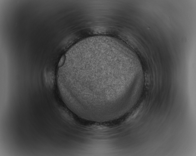 X0000092050648200710031043