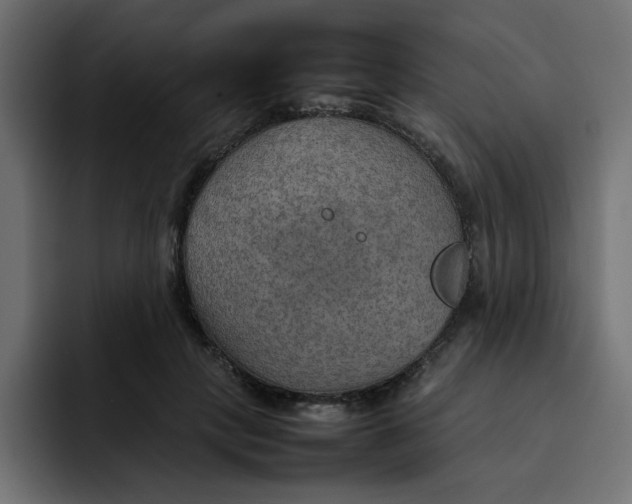 X0000092050649200710031043