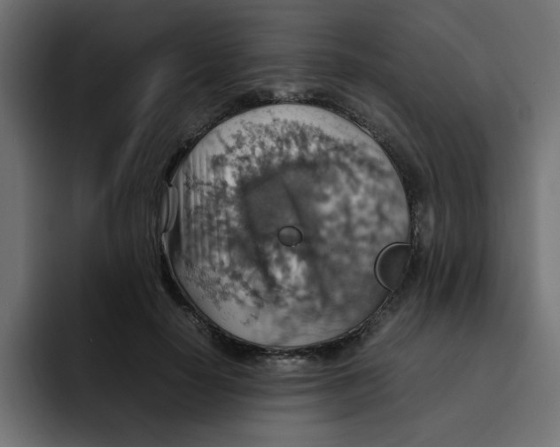 X0000092050650200710031043