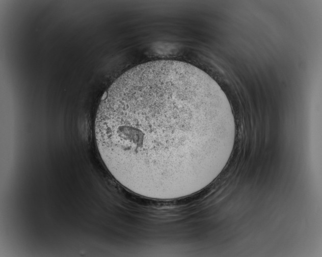 X0000092050651200710031043