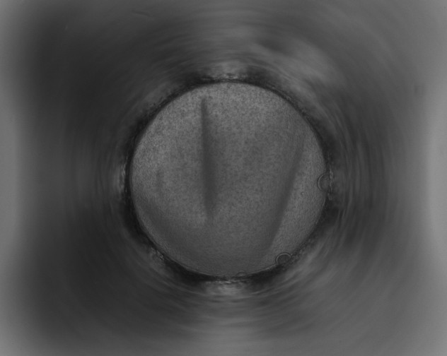 X0000092050652200710031043