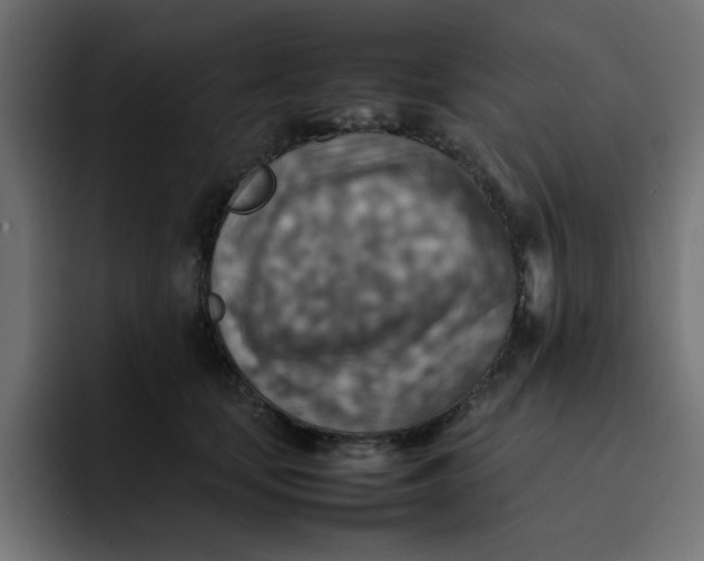 X0000092050659200710031043