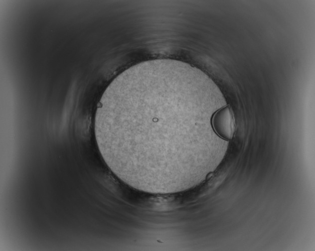 X0000092050660200710031043