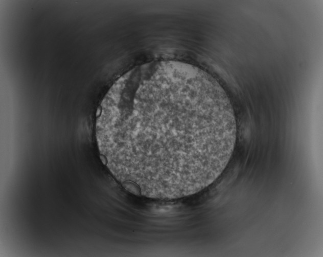 X0000092050661200710031043