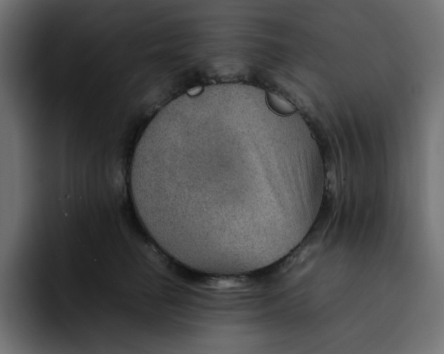 X0000092050662200710031043