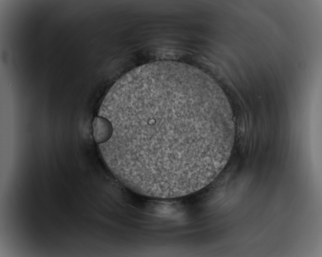 X0000092050663200710031043