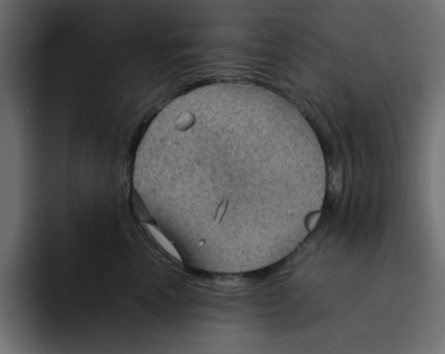 X0000092050666200710031043