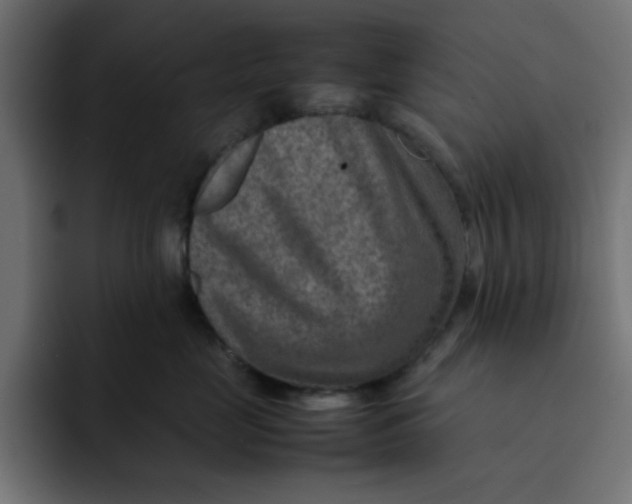 X0000092050669200710031043