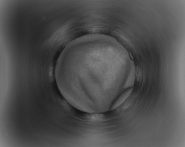 X0000092050670200710031043