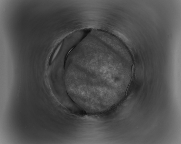 X0000092050673200710031043