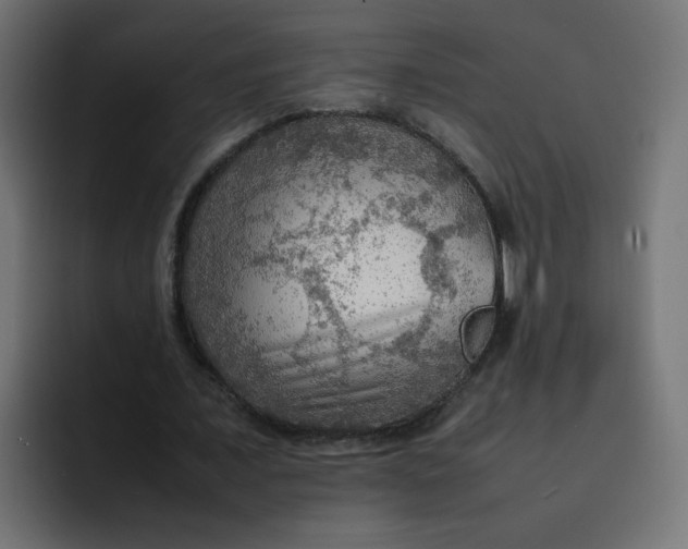 X0000092050675200710031043