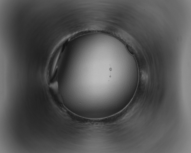 X0000092050676200710031043