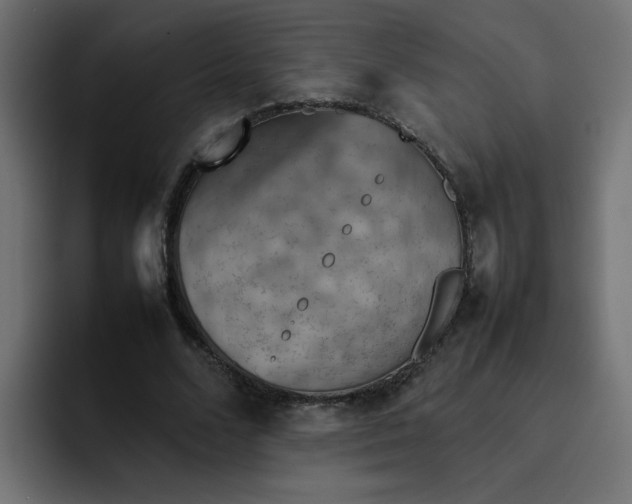 X0000092050680200710031043