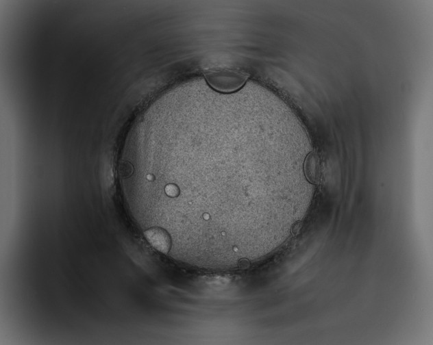 X0000092050687200710031043